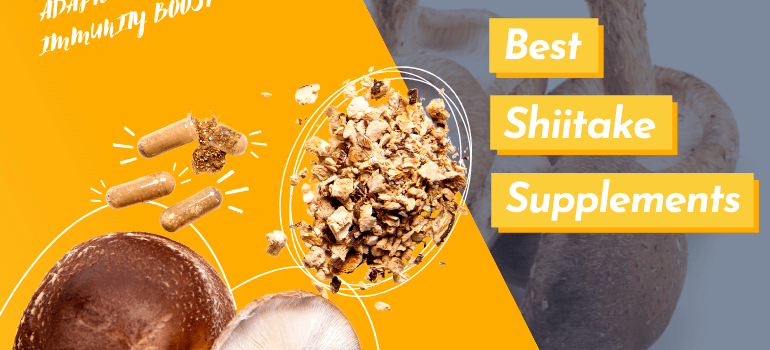 Best Shiitake Supplements