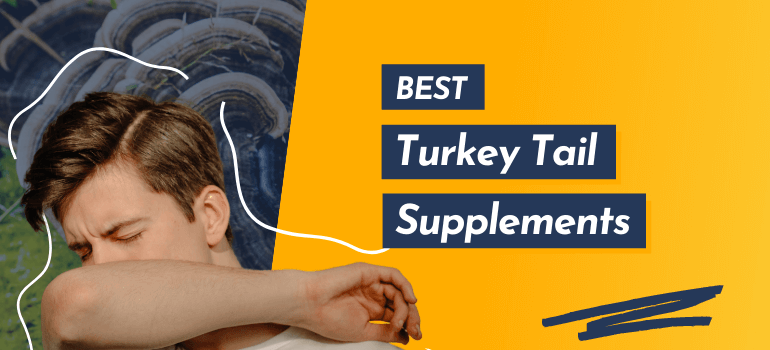 Best Turkey Tail Supplements
