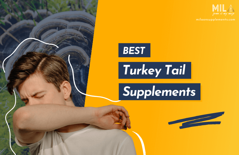 Best Turkey Tail Supplements