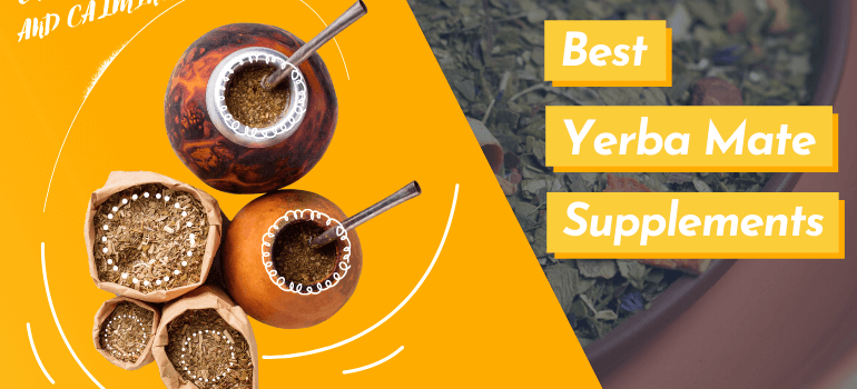 Best Yerba Mate Supplements