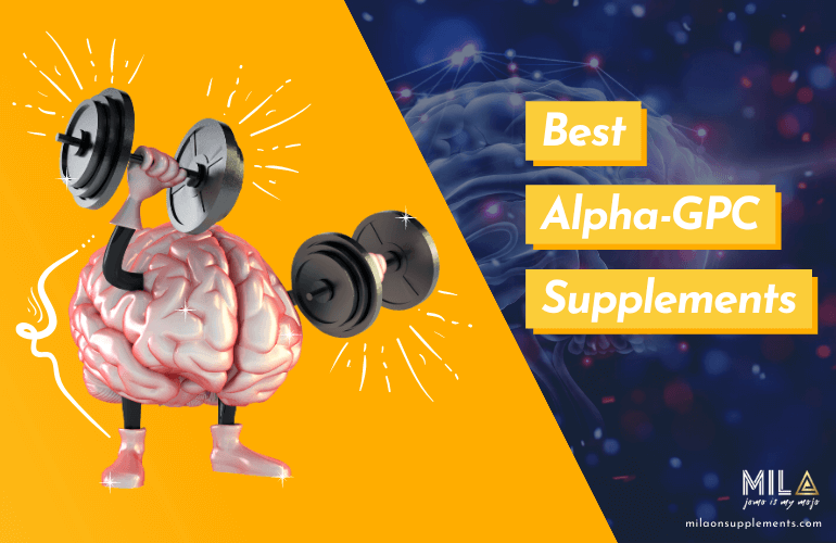 Best Alpha GPC Supplements