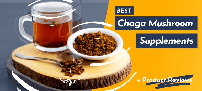 Best Chaga Mushroom Supplements