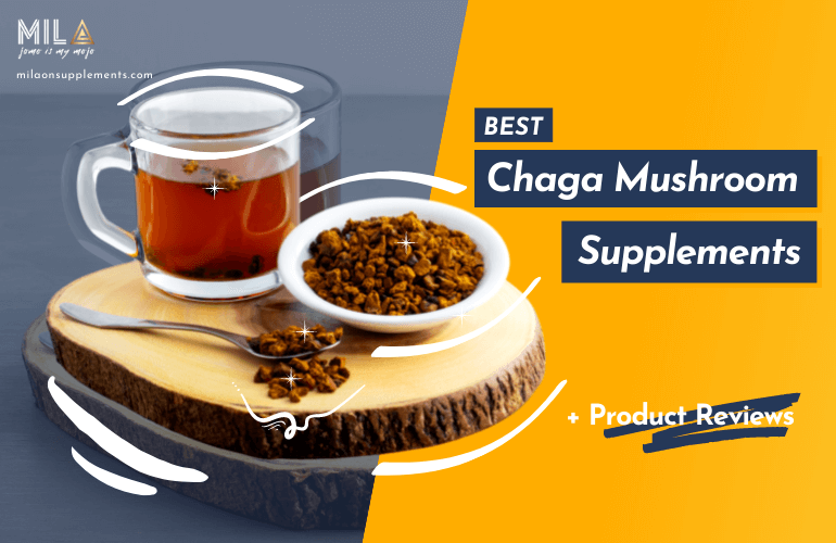 Best Chaga Mushroom Supplements