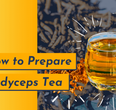 Cordyceps Mushroom Tea Recipes