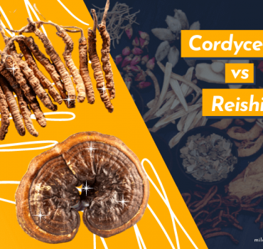Cordyceps vs Reishi