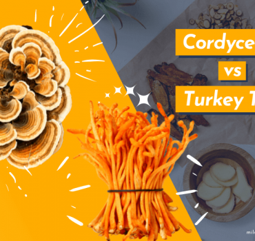 Cordyceps vs Turkey Tail