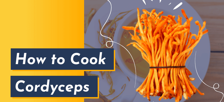 How to Cook Cordyceps