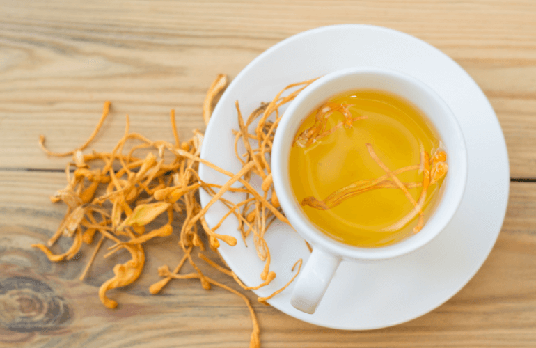 Most Delicious Recipes that You can Cook Using Cordyceps